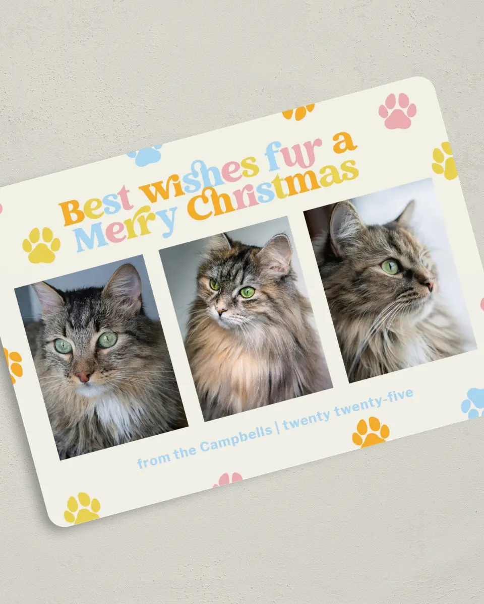 This is a 5" x 7" Christmas Card called Paws and Peace printed in full color on Premium Smooth paper