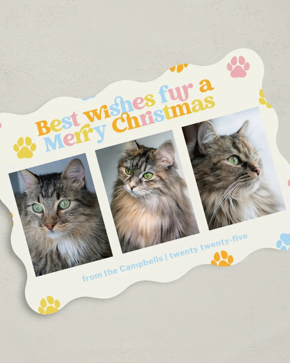 This is a 5" x 7" Christmas Card called Paws and Peace printed in full color on Premium Smooth paper
