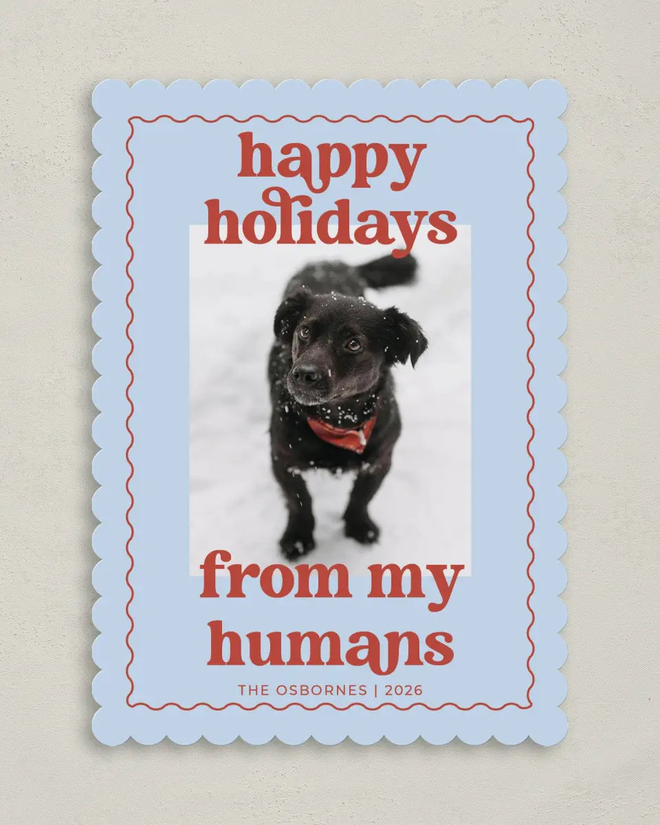 This is a 5" x 7" Christmas Card called Playful Pet printed in full color on Premium Smooth paper on Premium Smooth paper on Premium Smooth paper