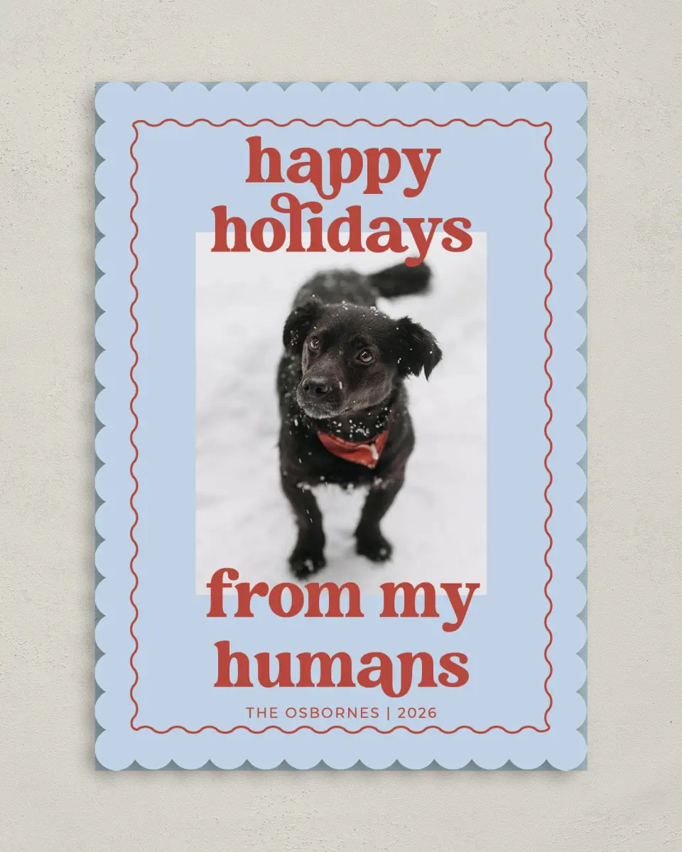 This is a 5" x 7" Christmas Card called Playful Pet printed in full color on Premium Smooth paper on Premium Smooth paper on Premium Smooth paper