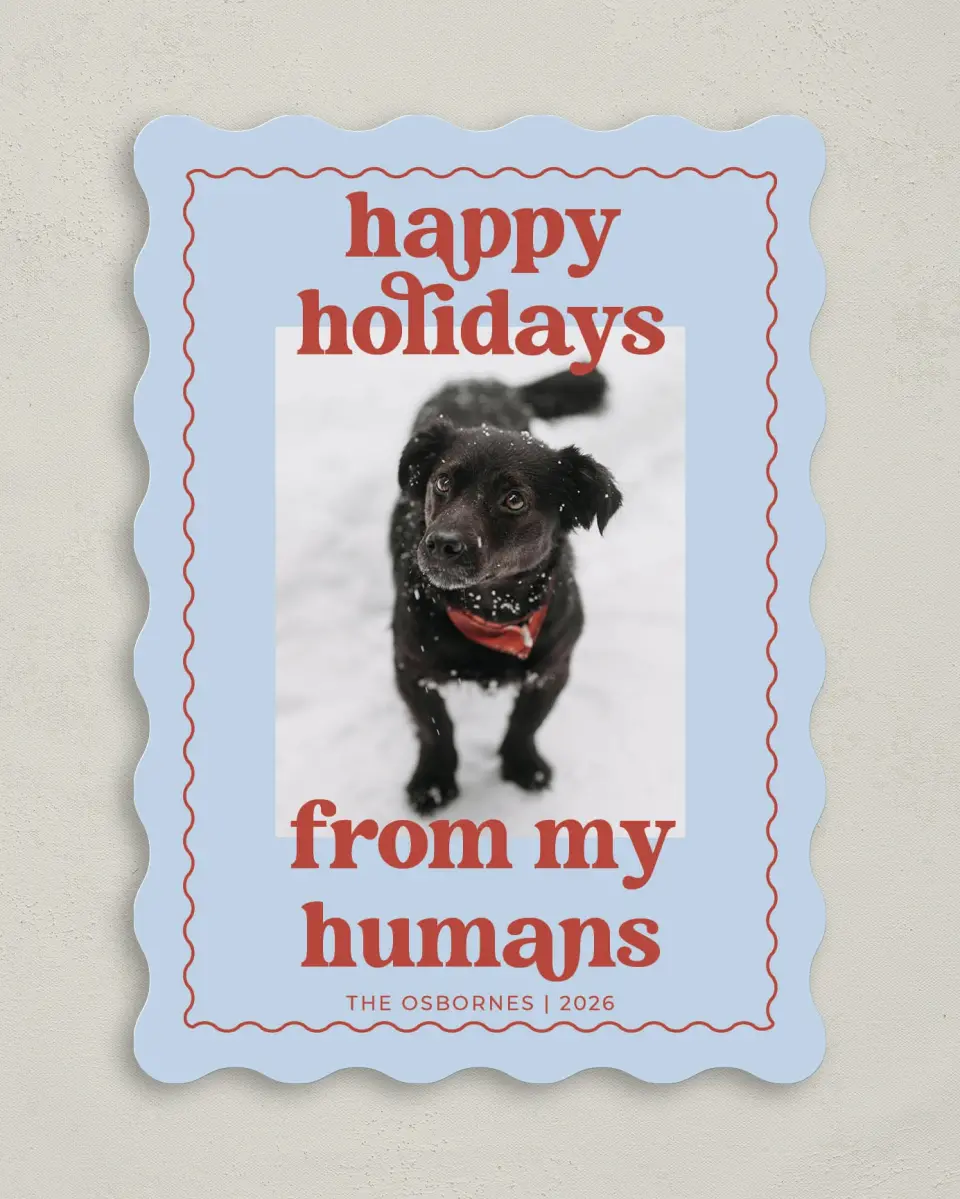 This is a 5" x 7" Christmas Card called Playful Pet printed in full color on Premium Smooth paper