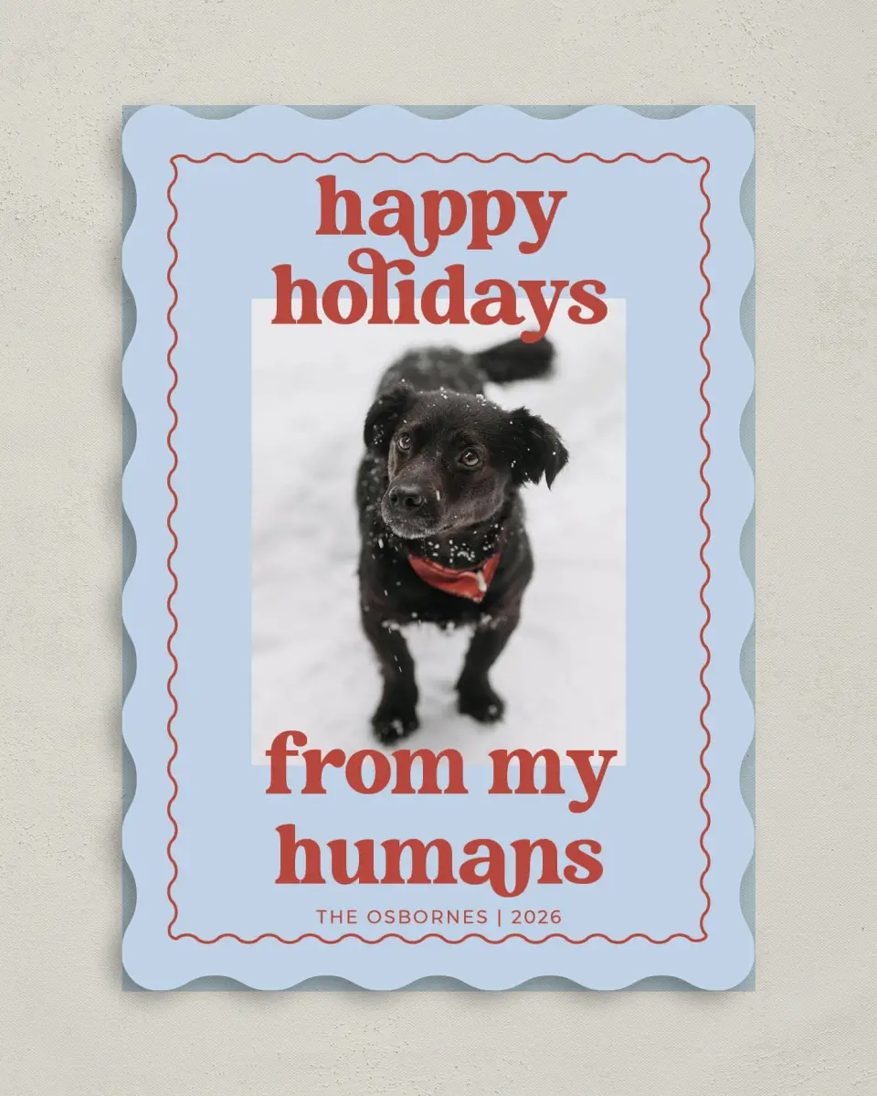 This is a 5" x 7" Christmas Card called Playful Pet printed in full color on Premium Smooth paper