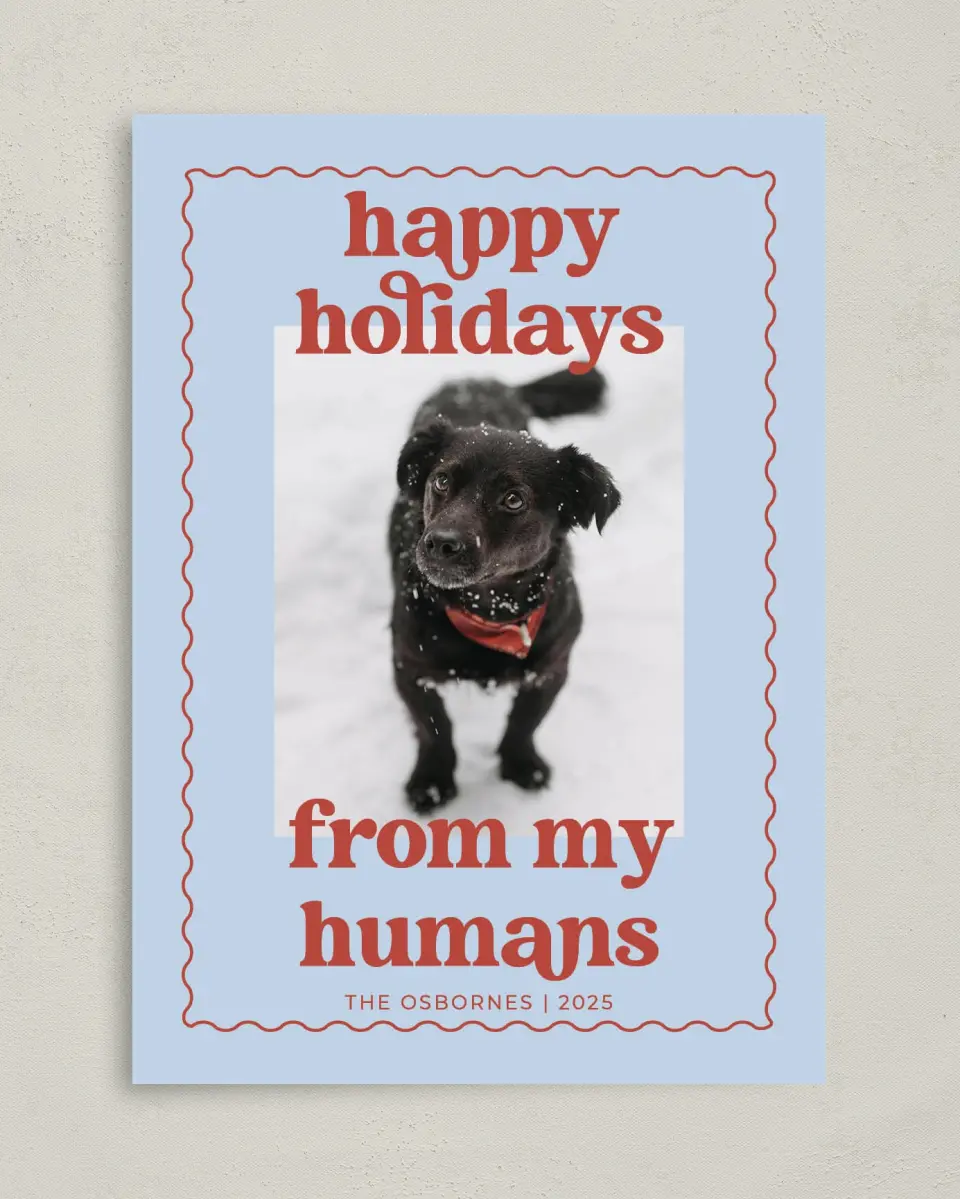 This is a 5" x 7" Christmas Card called Playful Pet printed in full color on Premium Smooth paper