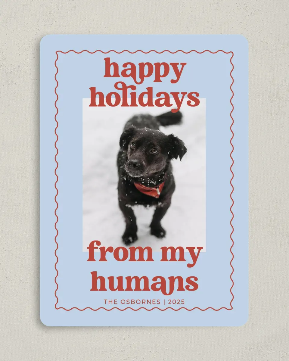 This is a 5" x 7" Christmas Card called Playful Pet printed in full color on Premium Smooth paper