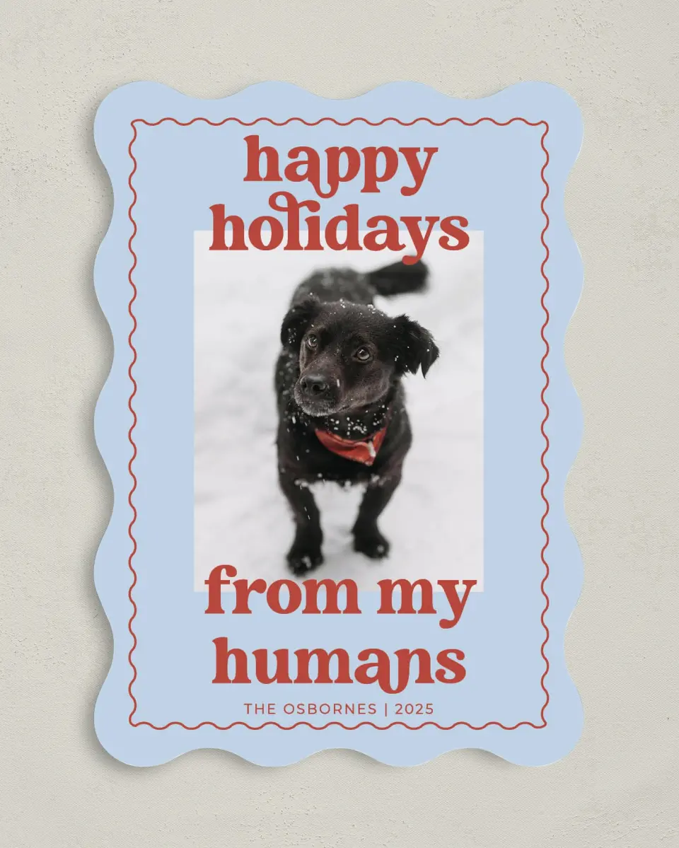 This is a 5" x 7" Christmas Card called Playful Pet printed in full color on Premium Smooth paper