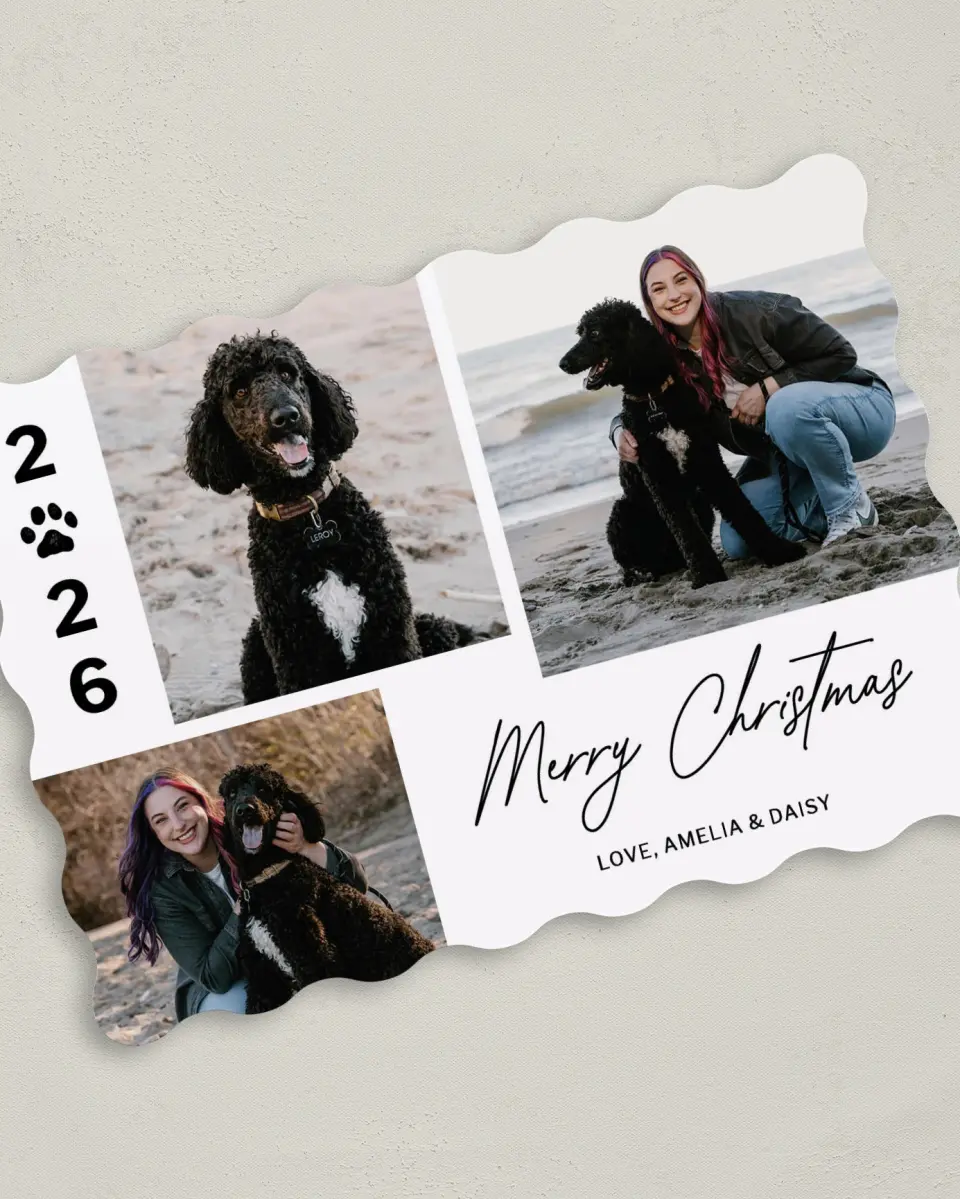This is a 5" x 7" Christmas Card called Happy Paws printed in full color on Premium Smooth paper