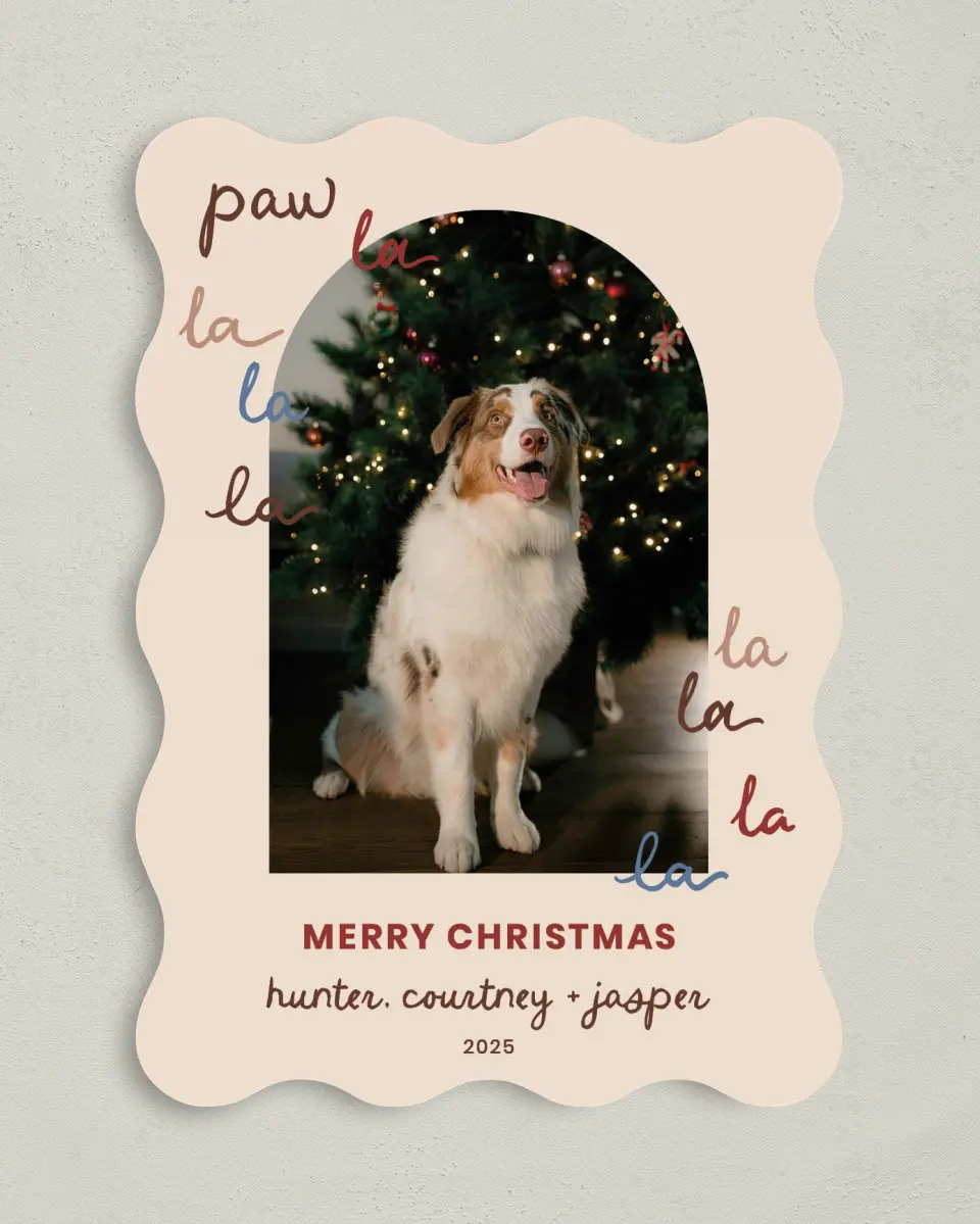 This is a 5" x 7" Christmas Card called Paw La La La La printed in full color on Premium Smooth paper