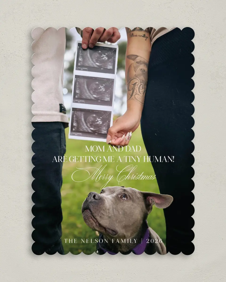 This is a 5" x 7" Christmas Card called Paws & Presents printed in full color on Premium Smooth paper on Premium Smooth paper on Premium Smooth paper