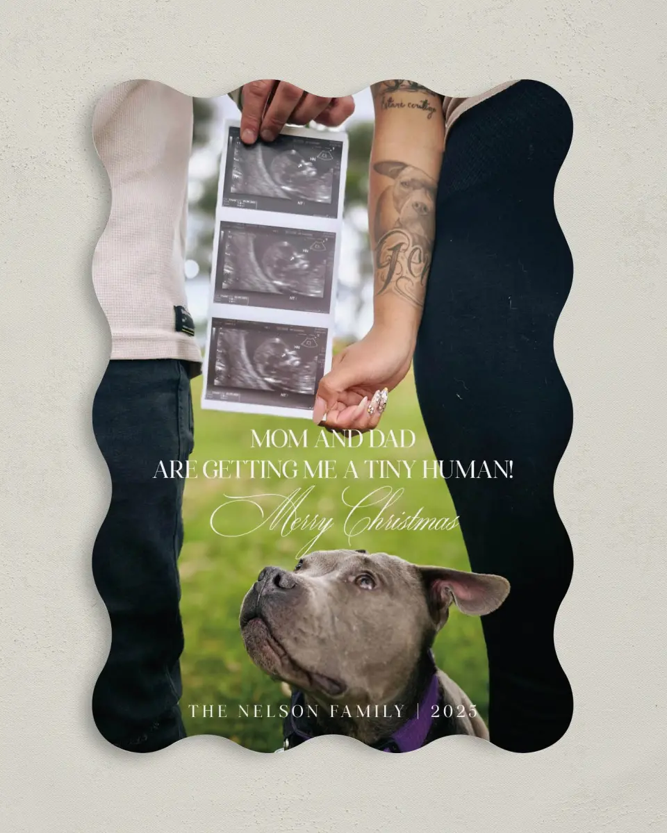 This is a 5" x 7" Christmas Card called Paws & Presents printed in full color on Premium Smooth paper