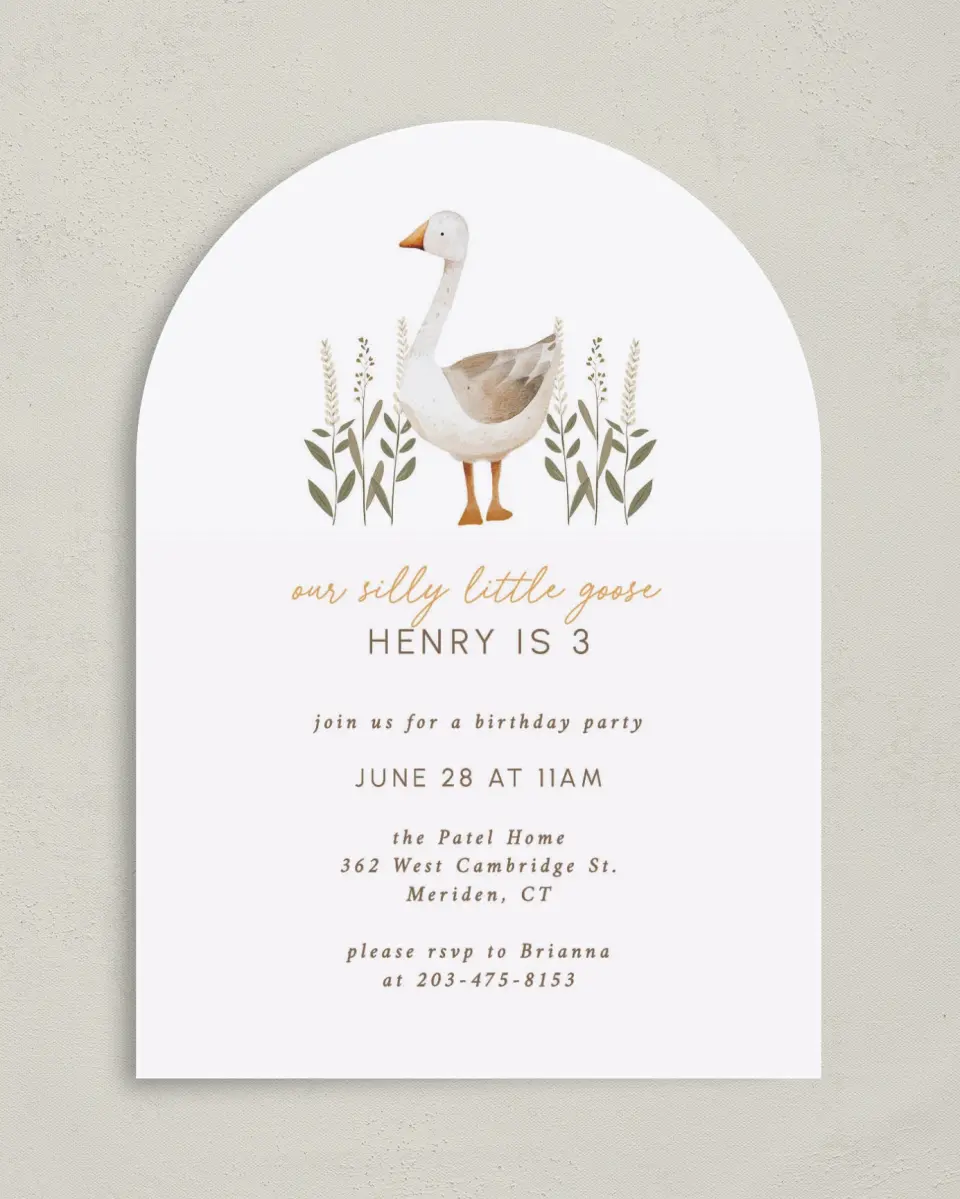 This is a 5" x 7" Birthday Party Invitation called Silly Goose printed in full color on Premium Smooth paper