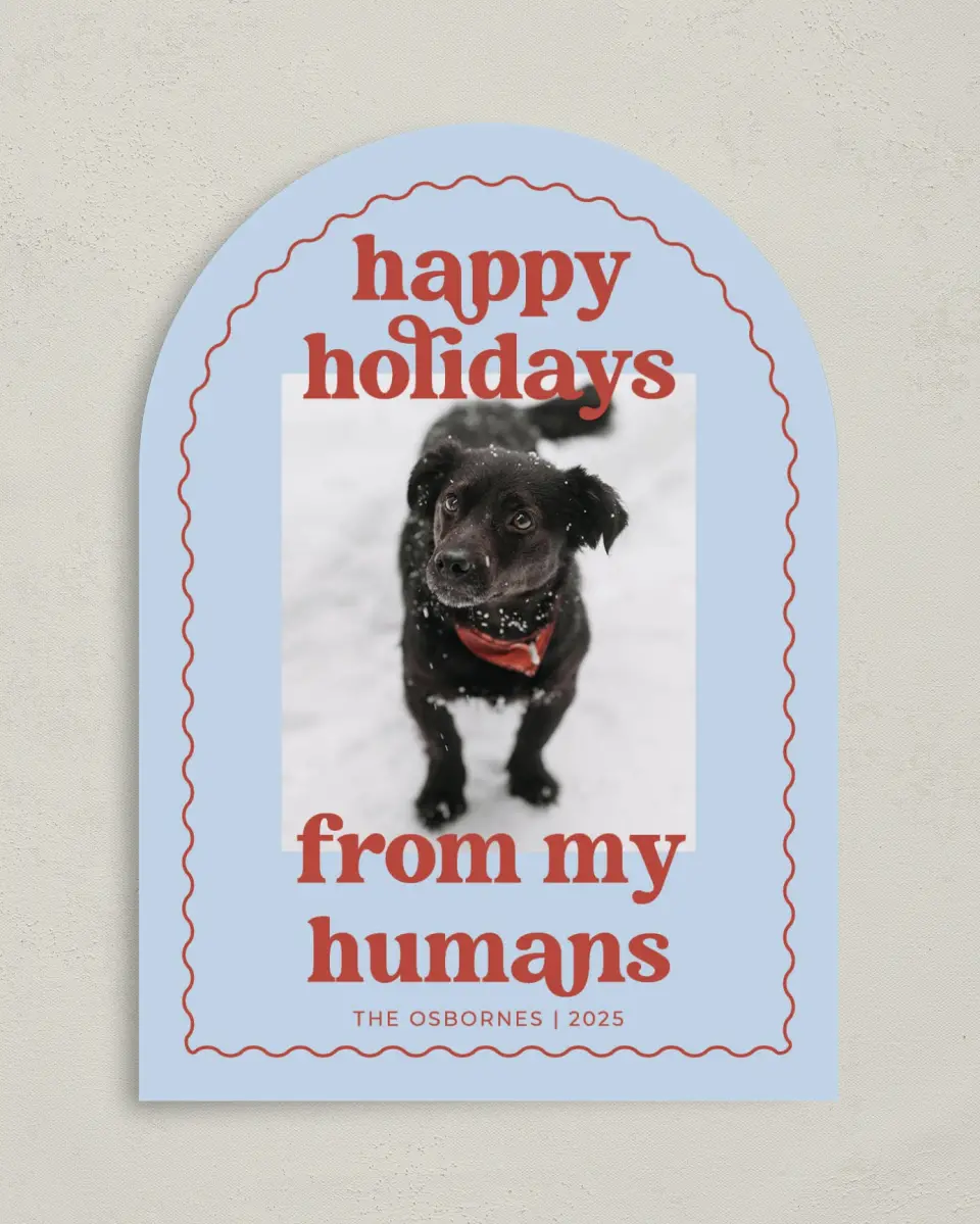 This is a 5" x 7" Christmas Card called Playful Pet printed in full color on Premium Smooth paper