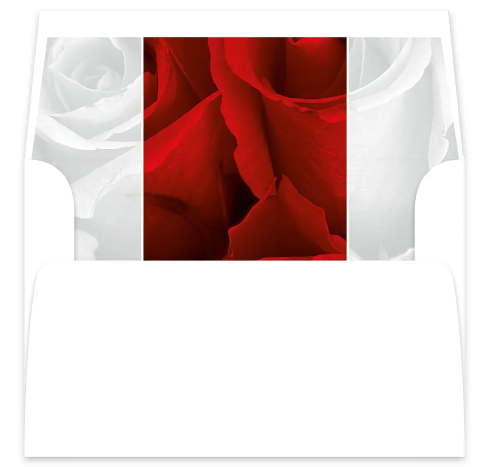 This is a  7⅝" x 7⅞" Envelope Liners (ELA) called Dramatic Roses printed in full color