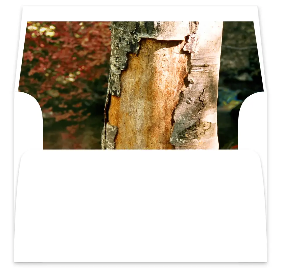 This is a  7⅝" x 7⅞" Envelope Liners (ELA) called Carved in Love - Autumn printed in full color