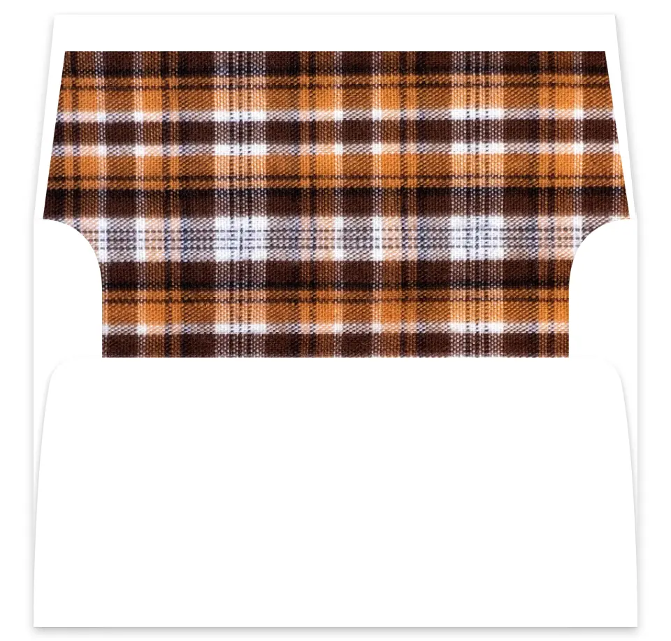 This is a  7⅝" x 7⅞" Envelope Liners (ELA) called Perfectly Plaid printed in full color