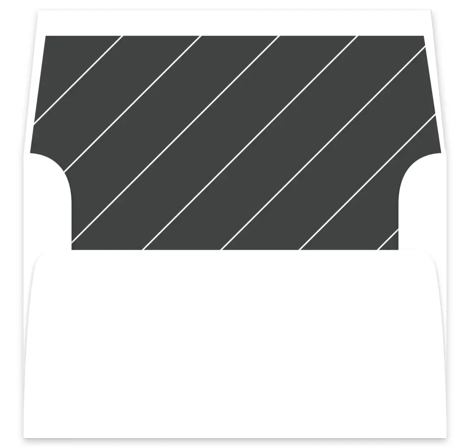 This is a  7⅝" x 7⅞" Envelope Liners (ELA) called Minimal Mod printed in full color