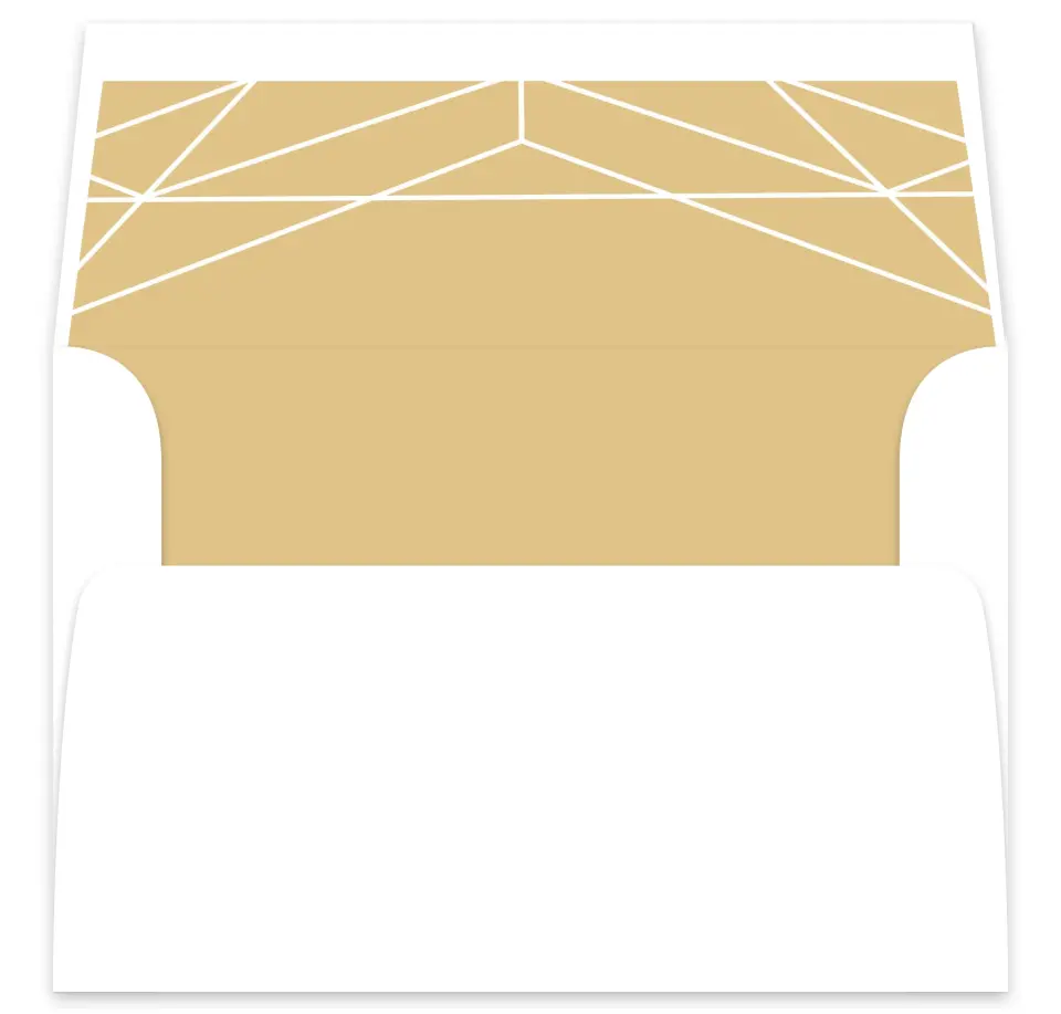 This is a  7⅝" x 7⅞" Envelope Liners (ELA) called Luxe Gem printed in full color