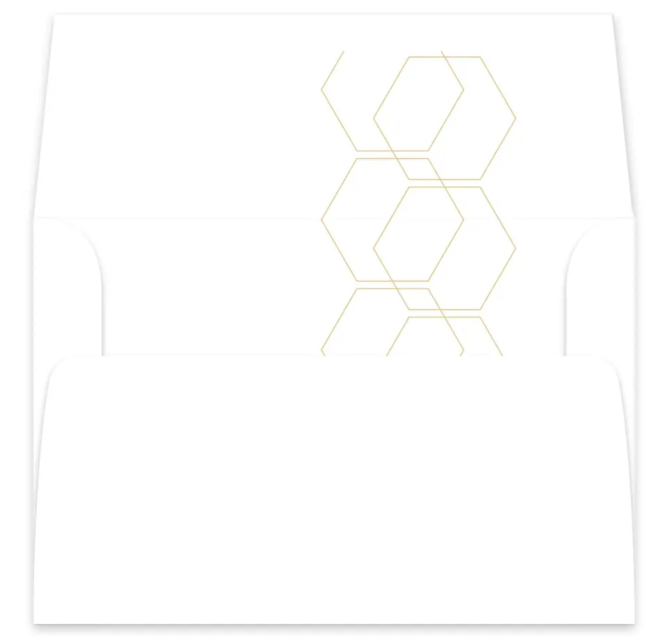 This is a  7⅝" x 7⅞" Envelope Liners (ELA) called Geometric Garden printed in full color
