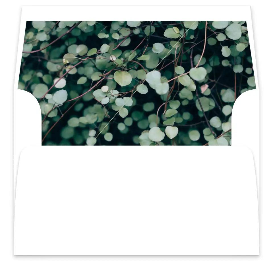 This is a  7⅝" x 7⅞" Envelope Liners (ELA) called Vogue Vineyard printed in full color