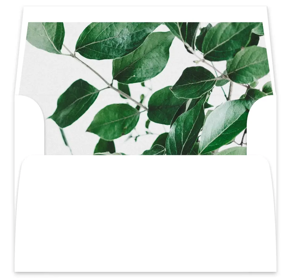 This is a  7⅝" x 7⅞" Envelope Liners (ELA) called Love Grows printed in full color