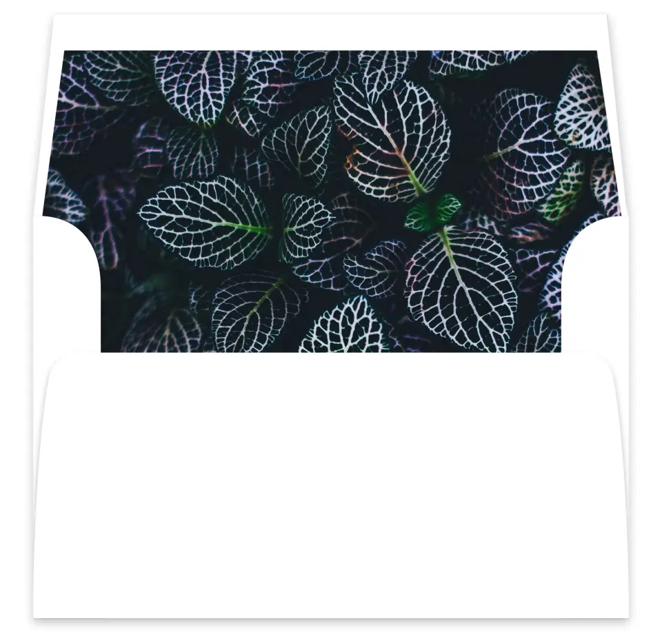 This is a  7⅝" x 7⅞" Envelope Liners (ELA) called Enchanted Garden printed in full color