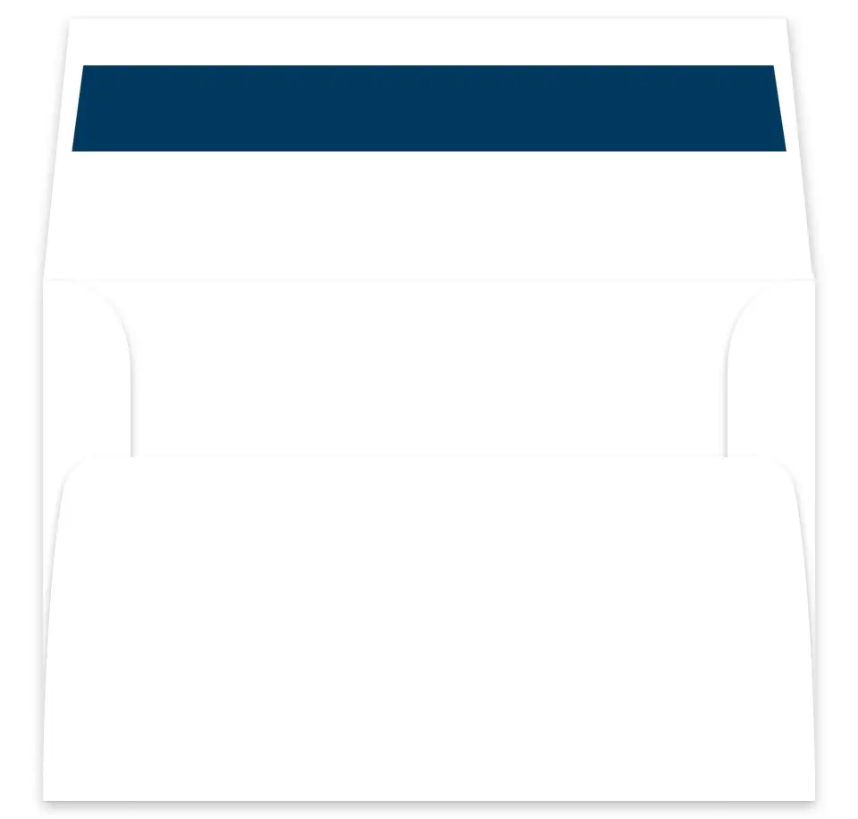 This is a  7⅝" x 7⅞" Envelope Liners (ELA) called Best Wedding Ever printed in full color