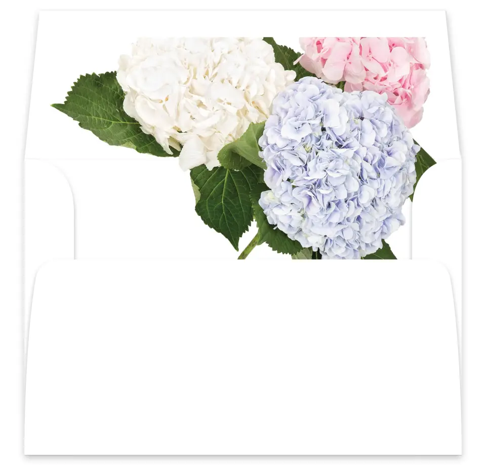 This is a  7⅝" x 7⅞" Envelope Liners (ELA) called Antique Hydrangea printed in full color