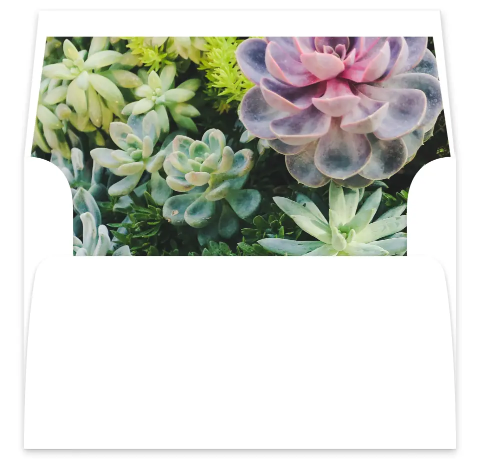 This is a  7⅝" x 7⅞" Envelope Liners (ELA) called Sophisticated Succulents printed in full color