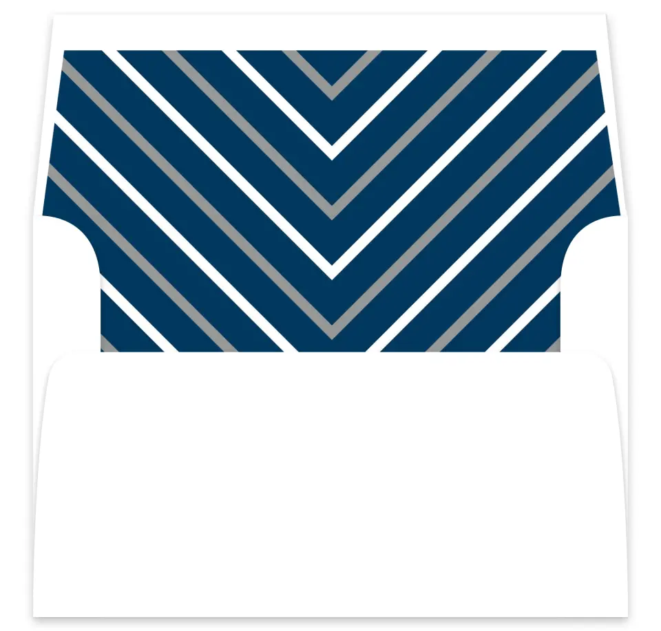 This is a  7⅝" x 7⅞" Envelope Liners (ELA) called Posh Chevron printed in full color