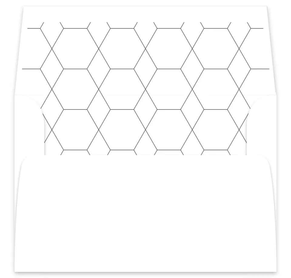 This is a  7⅝" x 7⅞" Envelope Liners (ELA) called Boldy Forward printed in full color
