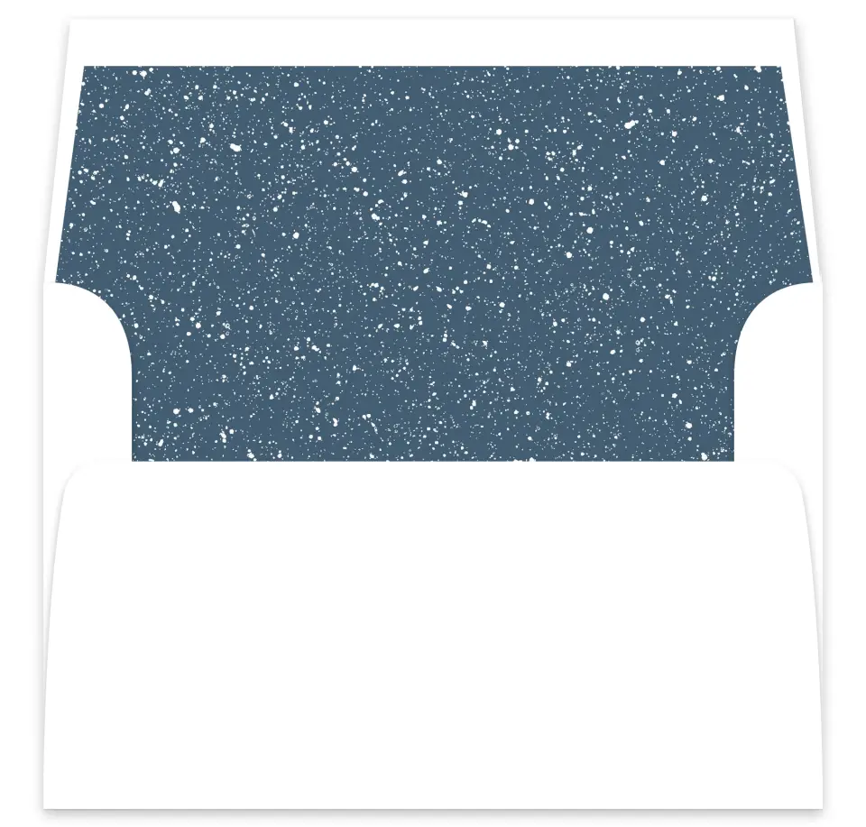 This is a  7⅝" x 7⅞" Envelope Liners (ELA) called Perfect Picture printed in full color