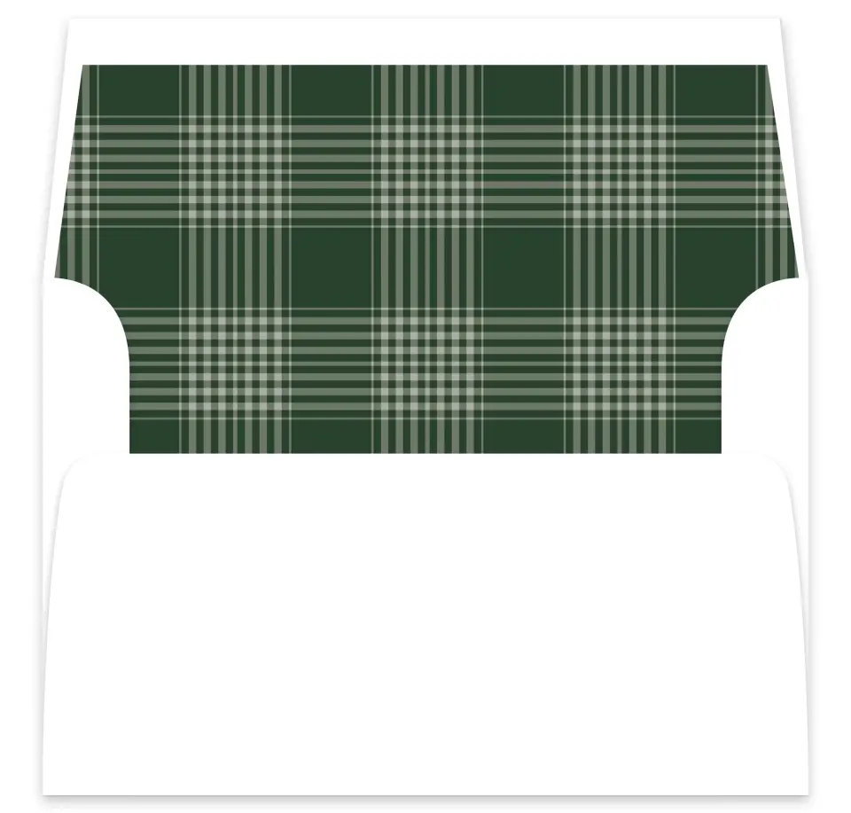 This is a  7⅝" x 7⅞" Envelope Liners (ELA) called Festive Celebration printed in full color