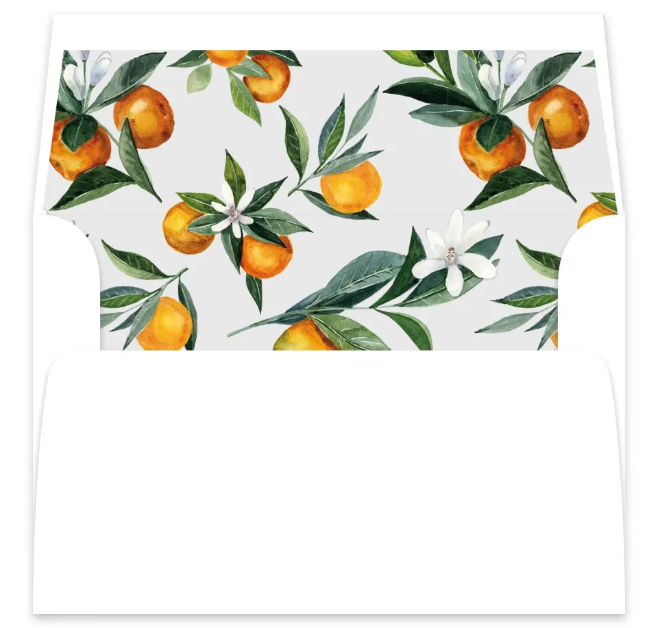 This is a  7⅝" x 7⅞" Envelope Liners (ELA) called Mod Citrus printed in full color