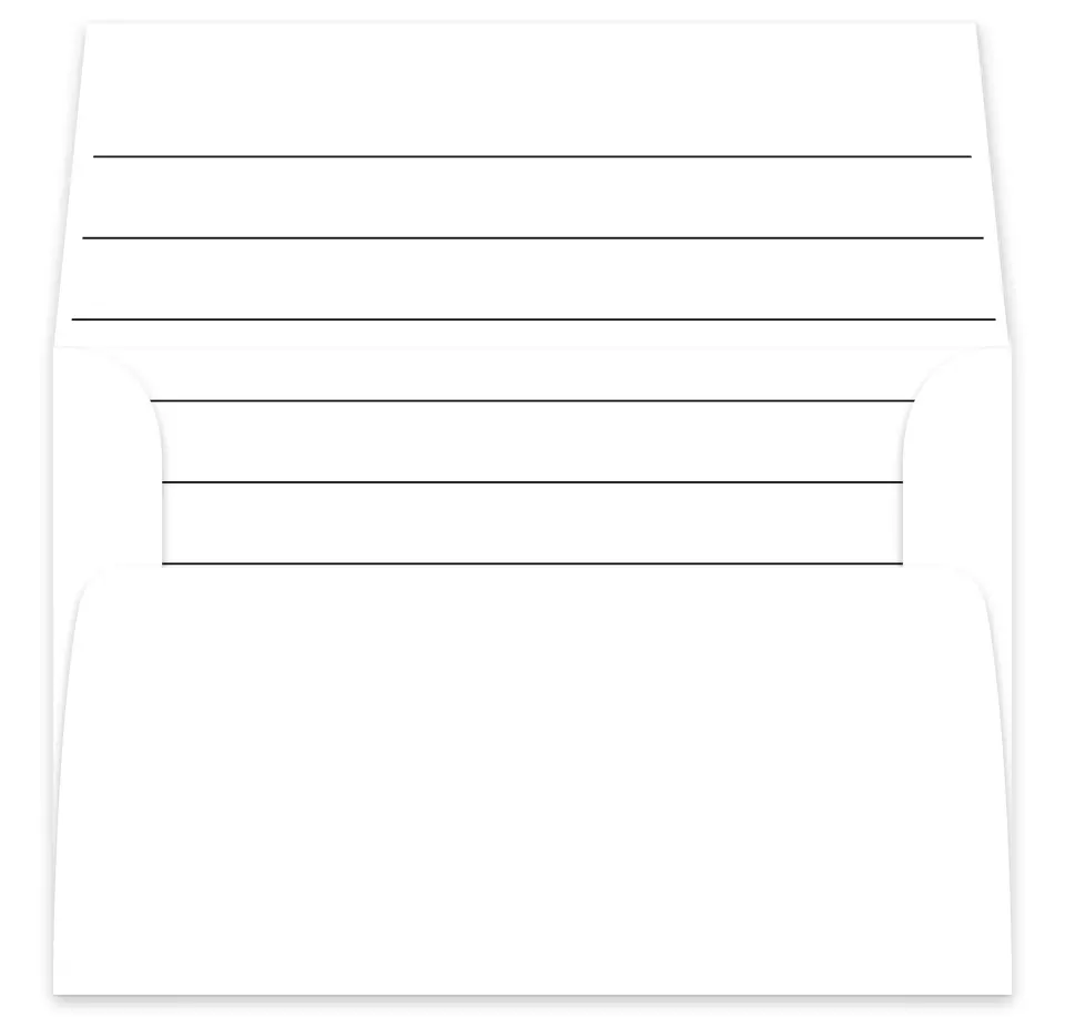 This is a  7⅝" x 7⅞" Envelope Liners (ELA) called Spacious Idea printed in full color