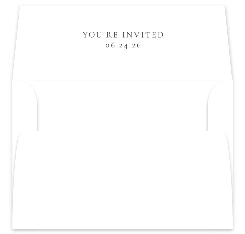 This is a  7⅝" x 7⅞" Envelope Liners (ELA) called Distinct Lines printed in full color
