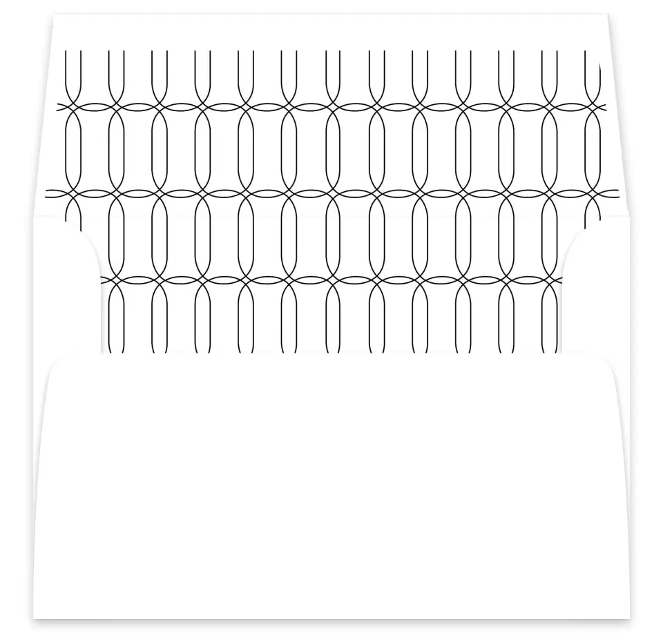 This is a  7⅝" x 7⅞" Envelope Liners (ELA) called Precise Promise printed in full color