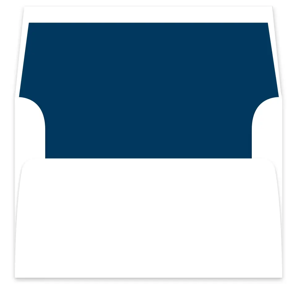 This is a  7⅝" x 7⅞" Envelope Liners (ELA) called Solid Color printed in full color