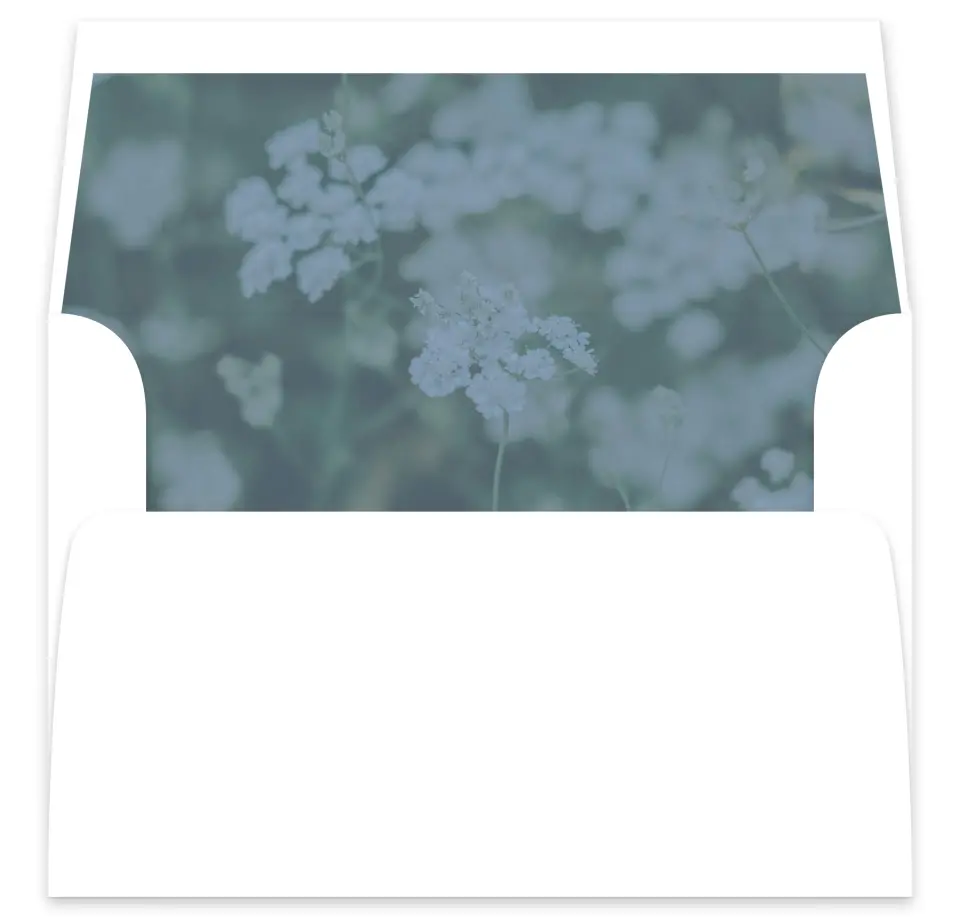 This is a  7⅝" x 7⅞" Envelope Liners (ELA) called Berkeley printed in full color