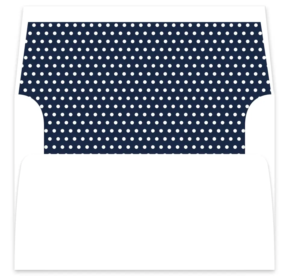 This is a  7⅝" x 7⅞" Envelope Liners (ELA) called Minimal Dot printed in full color
