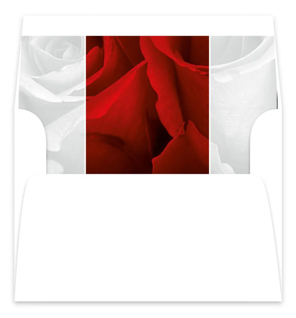 This is a  7.125" x 7" Envelope Liners (ELC) called Dramatic Roses printed in full color