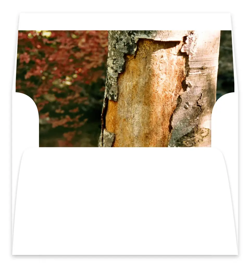 This is a  7.125" x 7" Envelope Liners (ELC) called Carved in Love - Autumn printed in full color