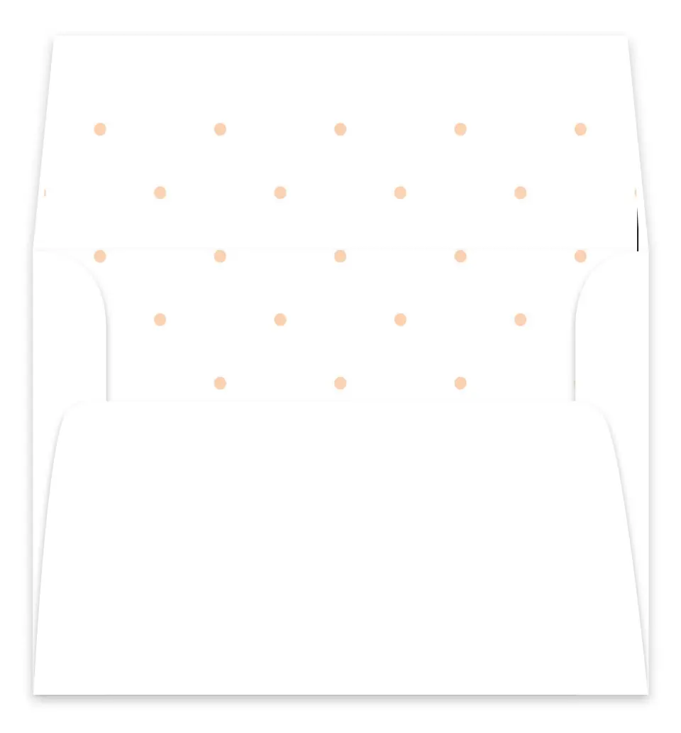 This is a  7.125" x 7" Envelope Liners (ELC) called Whimsy & Grace printed in full color