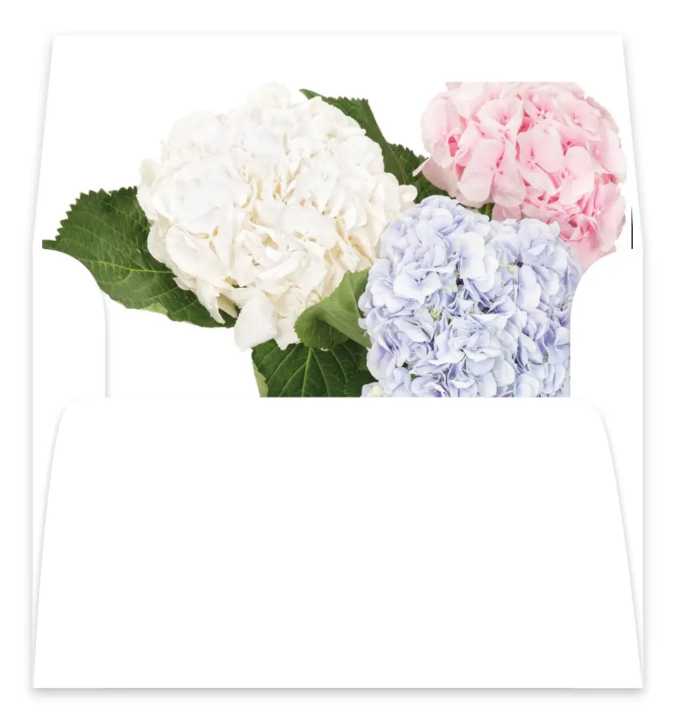 This is a  7.125" x 7" Envelope Liners (ELC) called Antique Hydrangea printed in full color