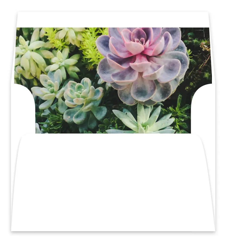 This is a  7.125" x 7" Envelope Liners (ELC) called Sophisticated Succulents printed in full color