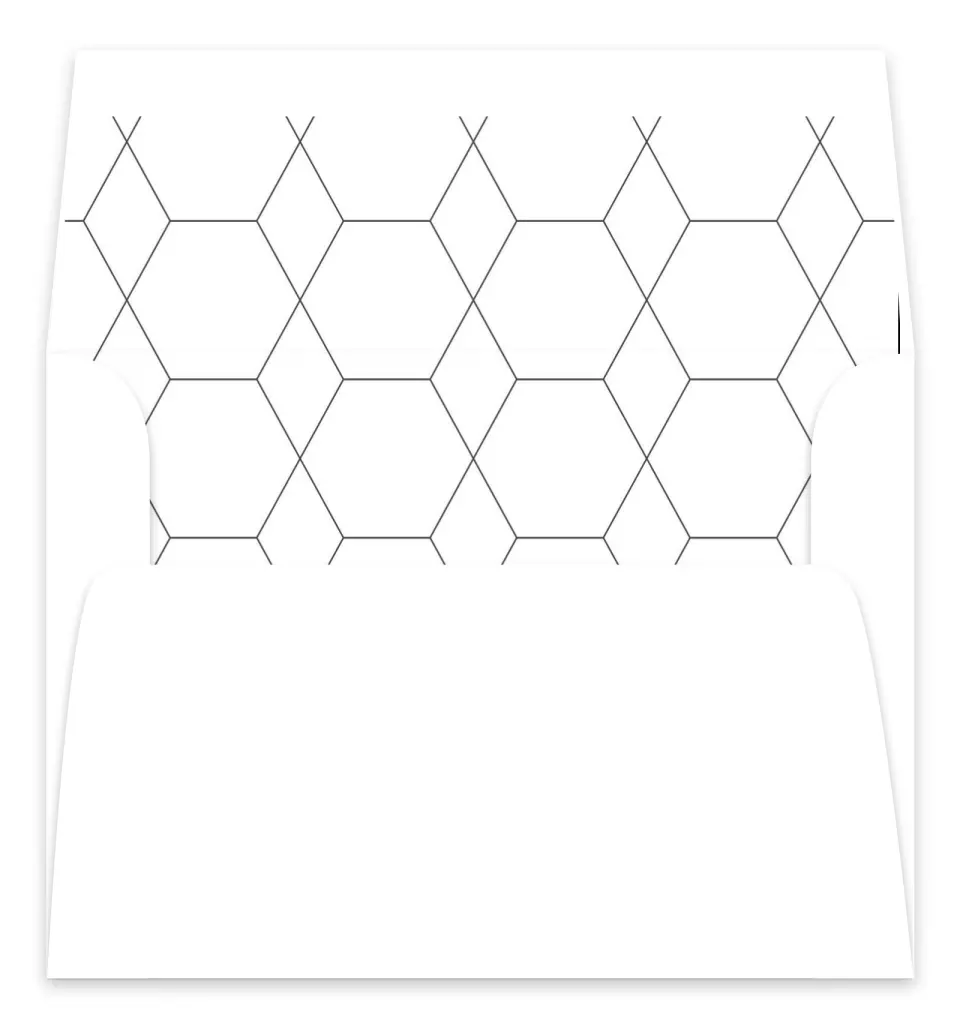 This is a  7.125" x 7" Envelope Liners (ELC) called Boldy Forward printed in full color