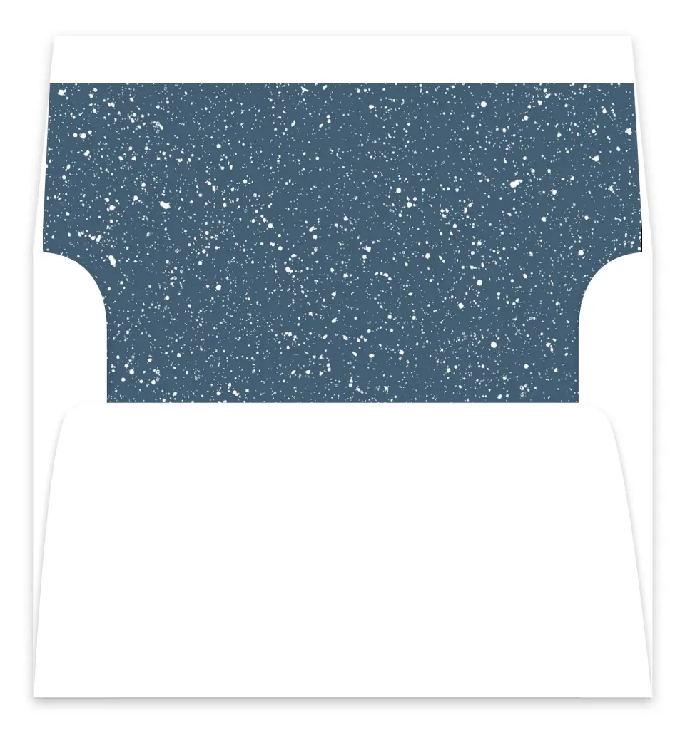 This is a  7.125" x 7" Envelope Liners (ELC) called Perfect Picture printed in full color