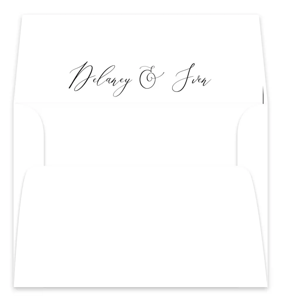This is a  7.125" x 7" Envelope Liners (ELC) called Chic Celebration printed in full color