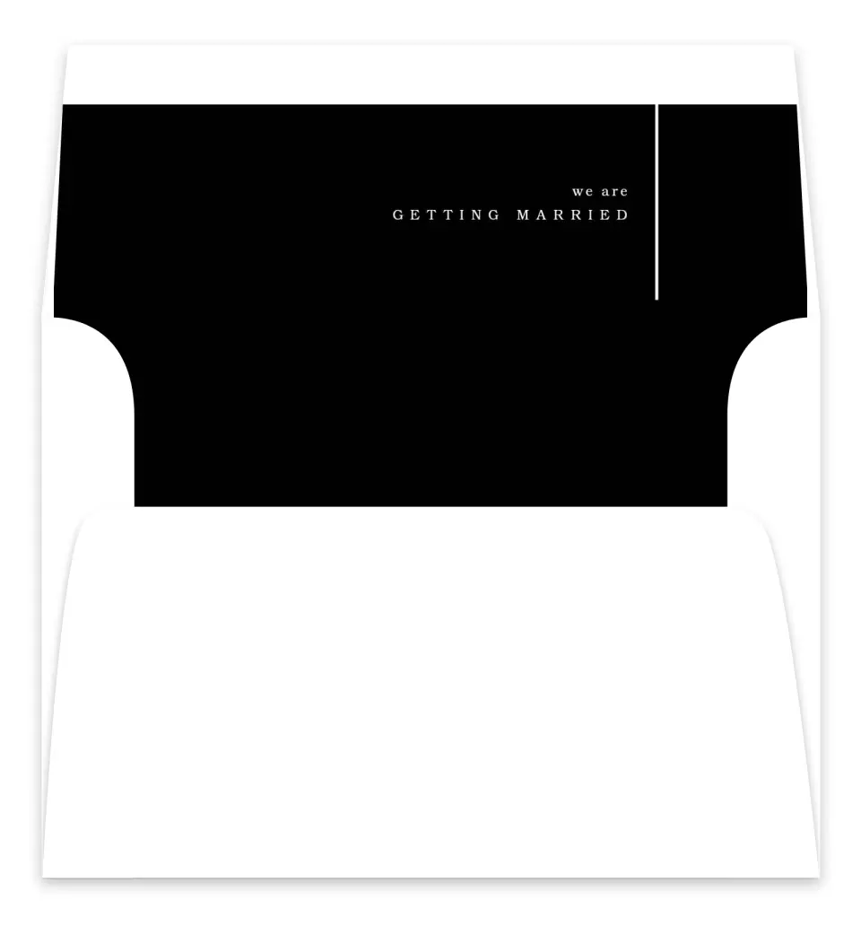 This is a  7.125" x 7" Envelope Liners (ELC) called Mod Lines printed in full color