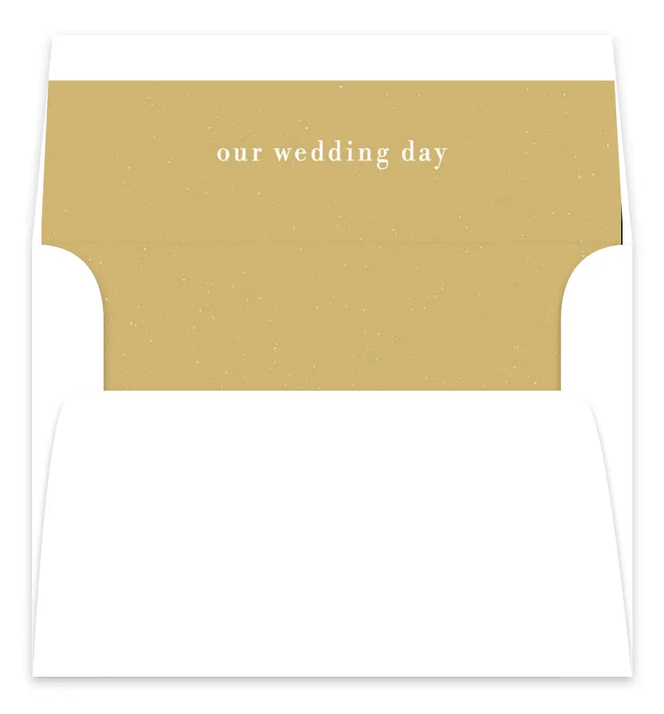 This is a  7.125" x 7" Envelope Liners (ELC) called Modern Countdown printed in full color