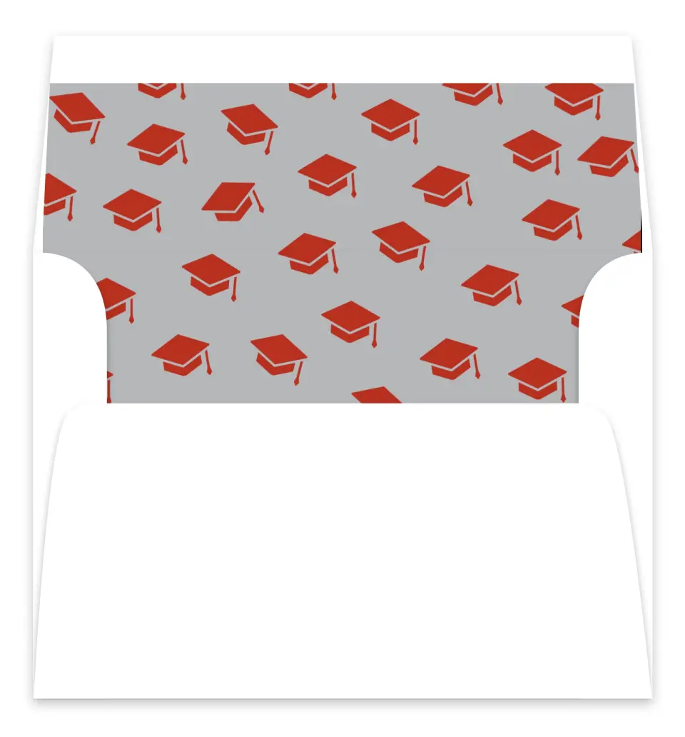 This is a  7.125" x 7" Envelope Liners (ELC) called Cool & Classic printed in full color