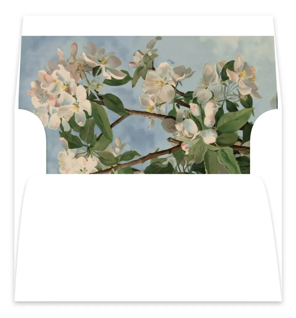 This is a  7.125" x 7" Envelope Liners (ELC) called Nantucket printed in full color